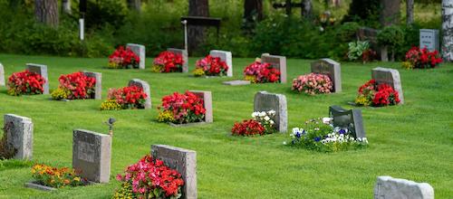 Well-maintained US cemetery with neat lawns, highlighting the need for individual grave care services.