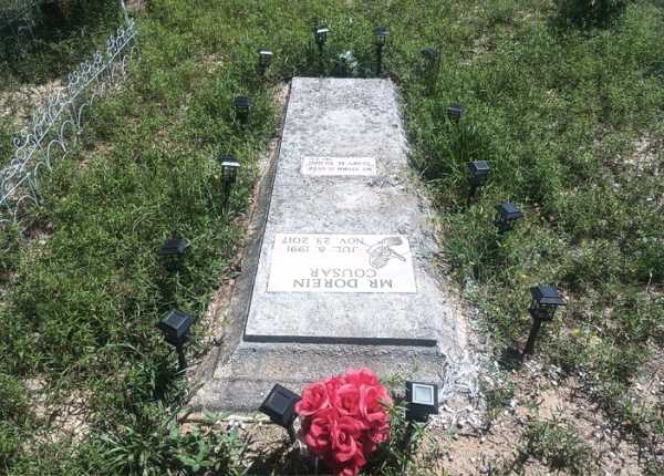 Weathered and uncleaned condition of flat granite veteran headstone in North Carolina before professional cleaning