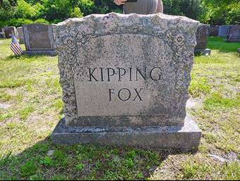 Grave Care: Before and After / image 340256