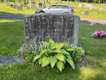 Grave Care: Before and After / image 340255