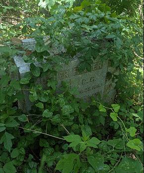 Grave Care: Before and After / image 289350